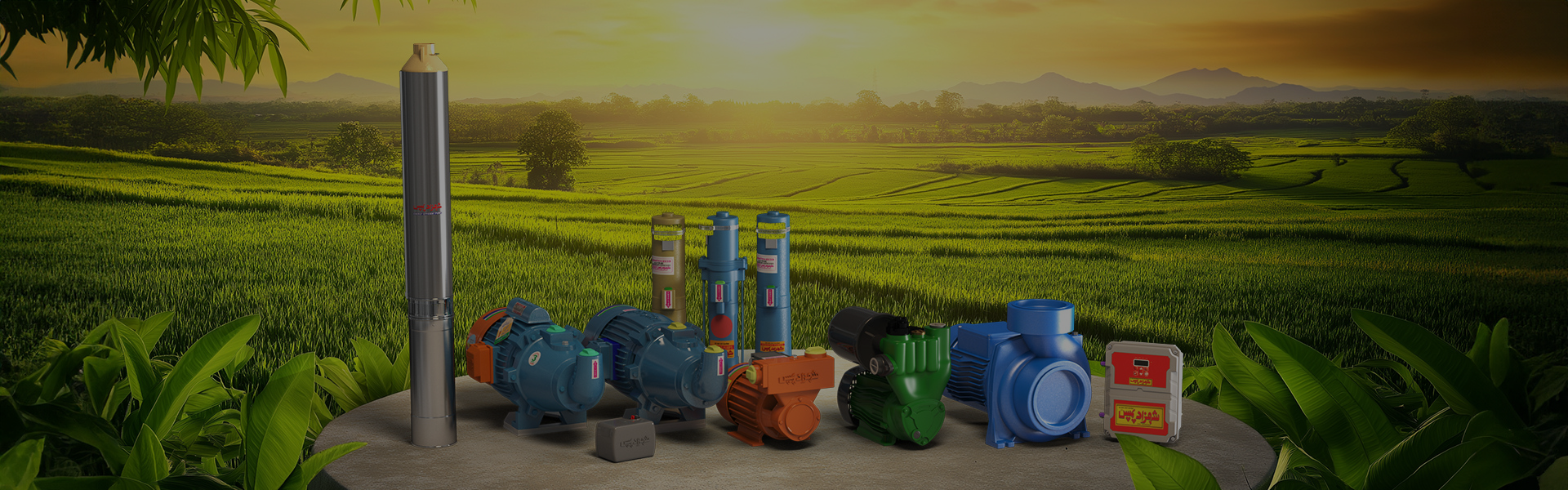 Reliable Water Pump Solutions You Can Trust